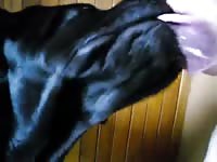 Licking good Gaybeast - Zoophilia Sex and Man