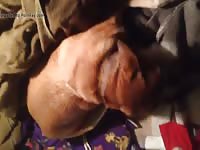 Little red fred Gaybeast - Animal Porn Man