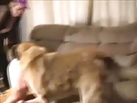 Living room fun Gaybeast.com - Zoophilia Sex and Man