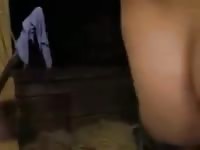 Loud white mare Gaybeast - Zoophilia Sex and Man