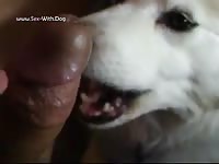 M licke by dog anluv1313 quick2