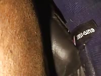 Madam mare sex men Gaybeast.com - Man fucks animal