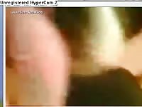 Male and male border collie licking short clip daramasu collie nicelick