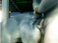 Male dog anal 8 Gaybeast - Beastiality Man