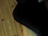 Male dog taken frome behind Gaybeast.com - Dude fucks animal