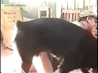Male me and male rott new june 19th 2006 horsedan rotteredagain
