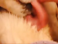 Man and bitch 2 Gaybeast - Beastiality with Dude