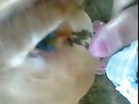 Man and cow anal 3 Gaybeast - Zoophilia Man
