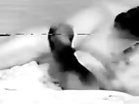 Man and ewe Gaybeast - Bestiality Porn video with man