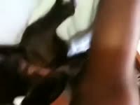 Man and female dogman and female dog Gaybeast.com - Zoophilia Sex and Man (1)