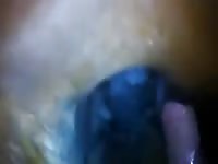 Man and mare 3 Gaybeast.com - Bestiality Sex video with man