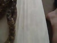 Man and snake 3