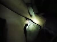 Man big cock fuck ass bitch Gaybeast - Zoophilia Porn and Man