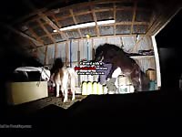 Man buttfucked by pony Gaybeast - Beastiality with Man