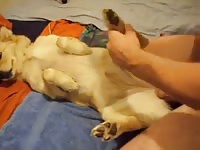 Man dog sex Gaybeast.com - Animal Sex Man