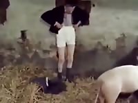 Man fingers licks and fucks pig Gaybeast - Zoophilia Sex and Man