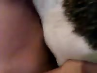 Man fuck bitch 3 Gaybeast - Zoophilia Porn and Man