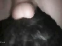 Man fuck dog 21 Gaybeast - Bestiality Porn video with man