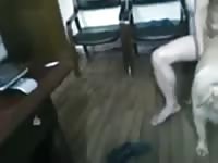 Man fuck dog dog Gaybeast - Beastiality Man