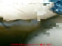 Man fuck mare3 Gaybeast.com - Man fucks animal