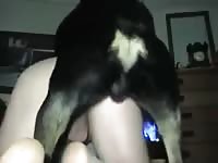 Man fucked by a male rottie Gaybeast - Bestiality Sex video with man