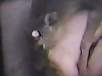 Man fucked by male whitetail deer Gaybeast.com - Bestiality Porn video with man