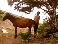 Man fucking a mare Gaybeast.com - Zoophilia Sex and Man