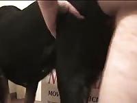 Man fucks a dog Gaybeast.com - Zoophilia Man