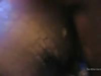 Man fucks alligator Gaybeast - Bestiality Sex video with man
