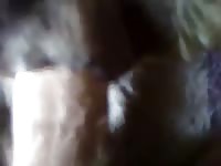 Man fucks dog 3 Gaybeast.com - Animal Sex Man