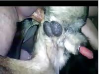 Man fucks dog in ass Gaybeast - Zoophilia Sex and Man