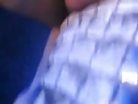 Man fucks gator Gaybeast.com - Dude and animal Porn