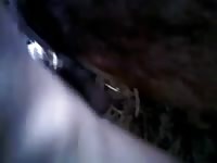 Man fucks goat Gaybeast - Dude and animal Porn