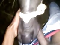 Man gets blowjob from horse Gaybeast - Animal Sex Man