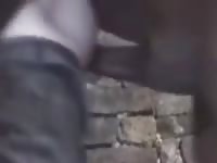 Man gets fucked by stallion Gaybeast.com - Dude and animal Porn