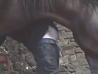 Man stallion Gaybeast - Man and animal Porn