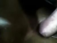 Man with cow vagina Gaybeast.com - Zoophilia Man