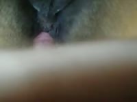 Mare 11 Gaybeast - Beastiality Man