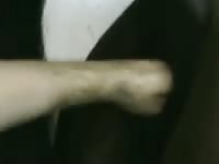 Mare deep anal fist Gaybeast - Dude and animal Sex