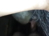 Mare delight Gaybeast.com - Zoophilia Man