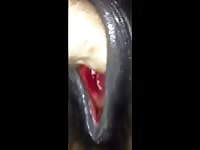 Mare fist2 Gaybeast - Animal Sex Man