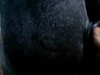 Mare fisting 3 Gaybeast - Bestiality Porn video with man