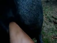 Mare fisting 6 1 Gaybeast.com - Animal Porn Man