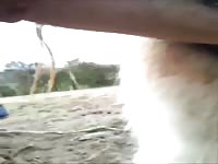 Mare fisting part 1 of 2 Gaybeast - Dude fucks animal
