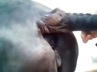 Mare fuck and creampie Gaybeast - Dude fucks animal