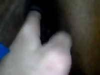 Mare fuck with cum Gaybeast - Zoophilia Man