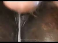 Mare gets fuck 2 Gaybeast.com - Dude fucks animal