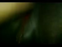 Mare has multiple orgasms Gaybeast.com - Man fucks animal