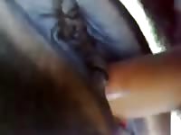 Mare love 2 Gaybeast.com - Beastiality with Man