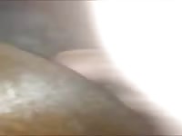 Mare pleasures Gaybeast - Bestiality Porn video with man